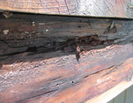 Brown rot damage from a deck frame that did not have protector tape.