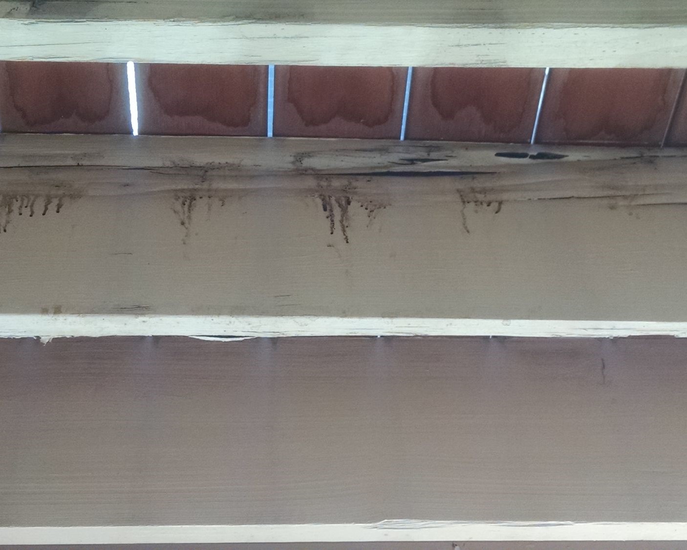 Early signs of brown rot on a wood deck frame