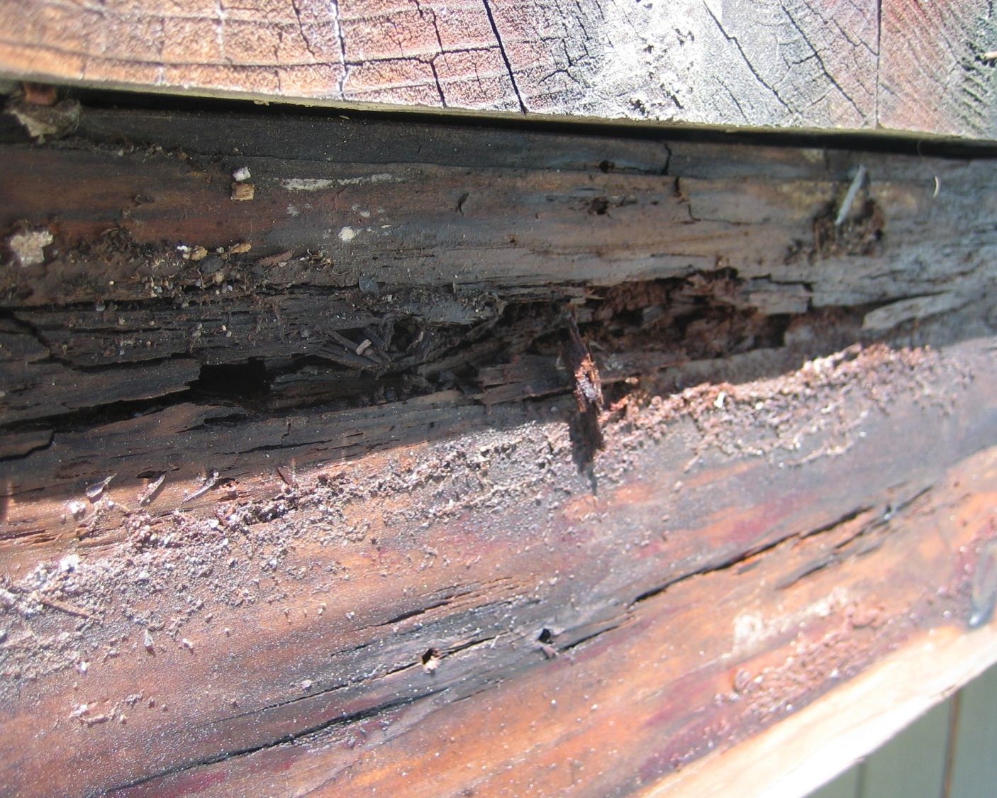 Sever brown rot damage on a wood deck frae