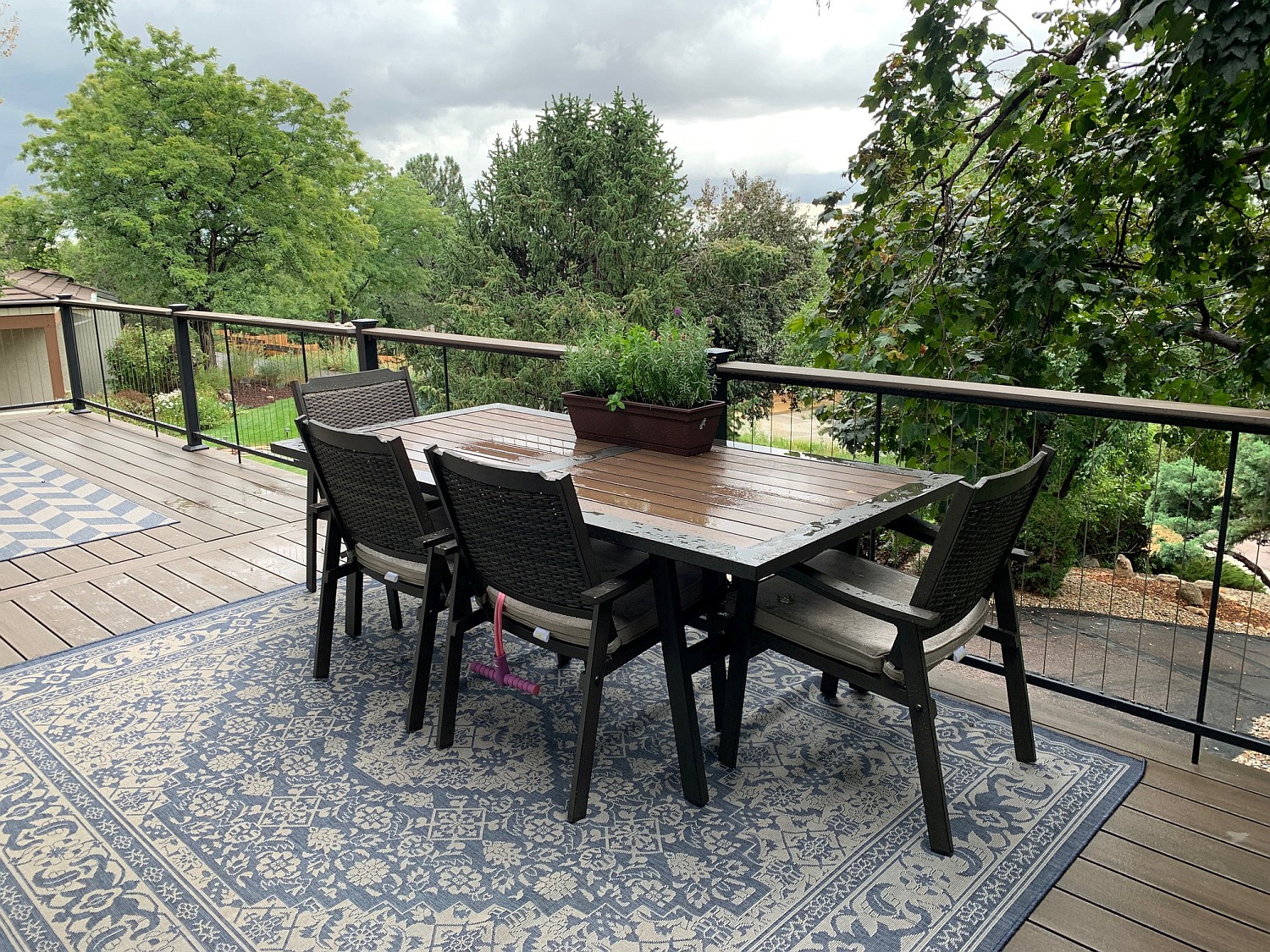 Composite deck with a metal deck railing featuring vertical cables and a drink cap. The owners added a rug and dining area to the deck